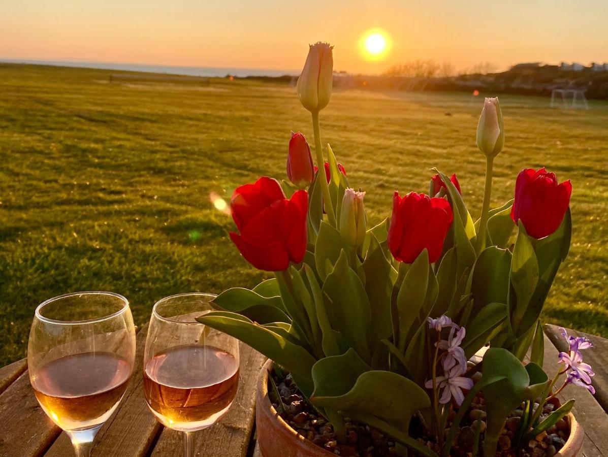 Seaview Self-Catering Coastal Bungalow In Rural West Wight Freshwater Eksteriør billede